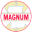 Logo Magnum Ventures Limited