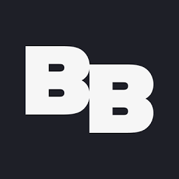Logo Brave Bison Group plc