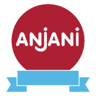 Logo Anjani Synthetics Limited