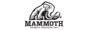 Logo Mammoth Energy Services, Inc.