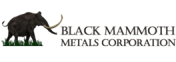 Logo Black Mammoth Metals Corporation