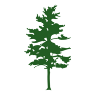 Logo White Pine Investment Co.