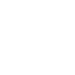 Logo Foremost Clean Energy Ltd.