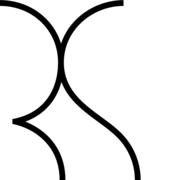Logo R.S. Public Co. Ltd.