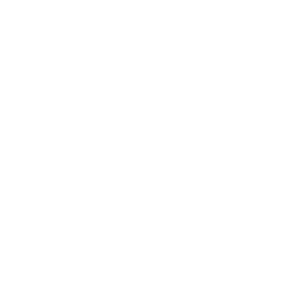 Logo International Union UAW