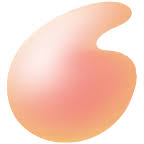 Logo Cosmo Bio Co., Ltd.