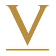Logo Vunani Securities (Pty) Ltd.