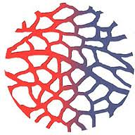 Logo Vascular Management Associates, Inc.