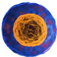 Logo Stem Cell Assurance, Inc. (Old)