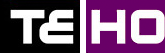 Logo Teho International, Inc. Ltd.