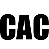 Logo Cairo American College