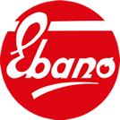 Logo Deisa Ebano SpA