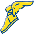 Logo Goodyear Norge AS