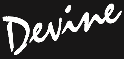 Logo Devine Impex Ltd.