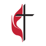 Logo Methodist Health Care System