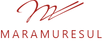 Logo Magazin Universal Maramures SA Baia Mare