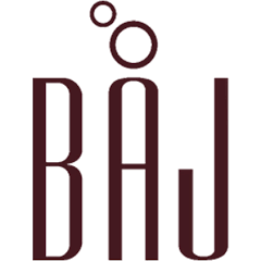 Logo Zhejiang Bangjie Holding Group Co., Ltd.