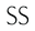 Logo StyleSaint, Inc.