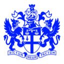 Logo Turquoise Global Holdings Ltd.
