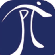 Logo PiTech Solutions, Inc.