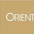 Logo Orient Securities International Holdings Ltd.