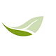 Logo Wellmore, Inc.