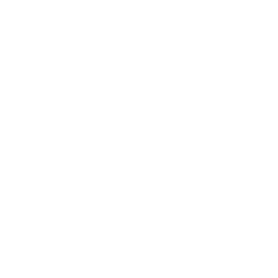 Logo Vernal Point Advisors LLC