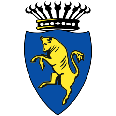 Logo Finanziaria Città di Torino Holding SpA