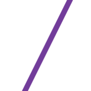 Logo Beedie Investments Ltd.