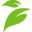 Logo Botanical Food Co. Pty Ltd.