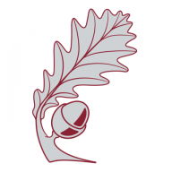 Logo Shire Oak Academy Trust