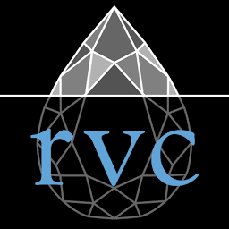 Logo Rareview Capital LLC