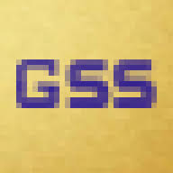 Logo Gem Software Solutions Pvt Ltd.