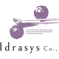 Logo Idrasys Co. Ltd.