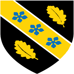 Logo University of Wales Trinity Saint David