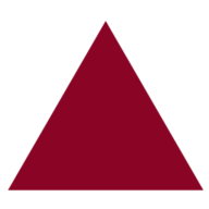 Logo Triangle Travel Ltd.