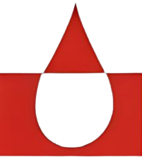 Logo Pioneer Fil-Med Pvt Ltd.
