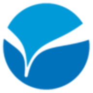 Logo Carew International, Inc.
