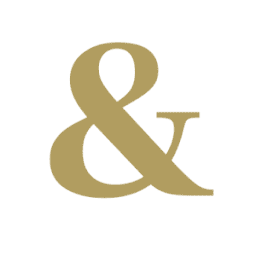Logo Dr. Borer Consulting