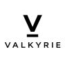 Logo Valkyrie Group LLC