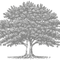 Logo Yigal Alon Centre