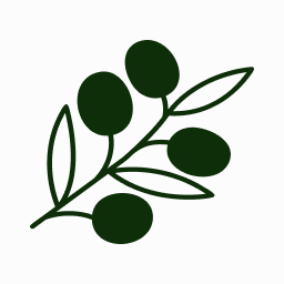 Logo Branch Care Inc