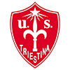 Logo UNIONE SPORTIVA TRIESTINA CALCIO 1918 S.R.L.