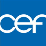 Logo The Catholic Education Foundation
